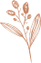 Bodas rose icon 01.png